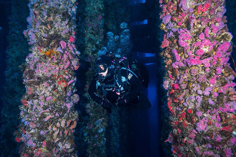 artificial reefs