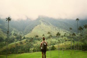 Randy P. Martin Captures the Wild