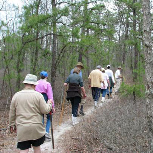 WHARTON STATE FOREST