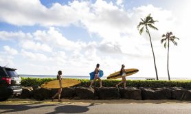 can-i-go-to-hawaii-ethically