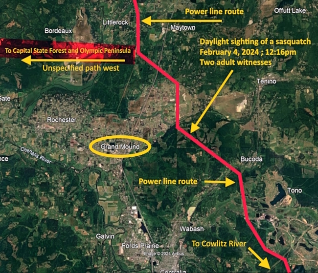 bigfoot sighting in Washington