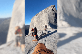 Half Dome in dino costumes
