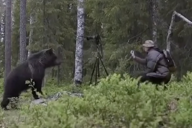 how to use bear spray video