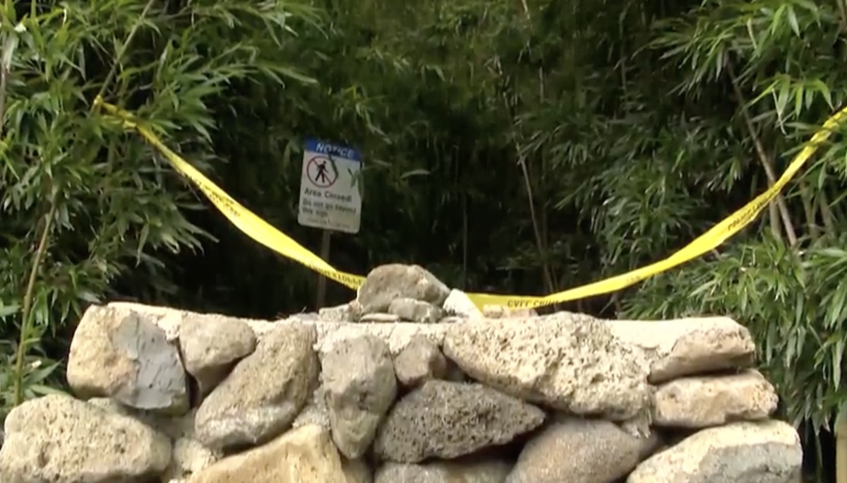 Anesthesiologist kill wife hawaii