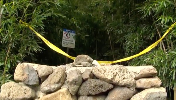 Anesthesiologist kill wife hawaii