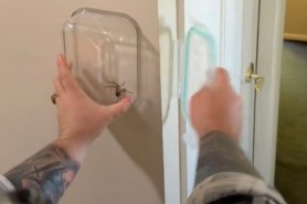 chaotic spider catch attempt