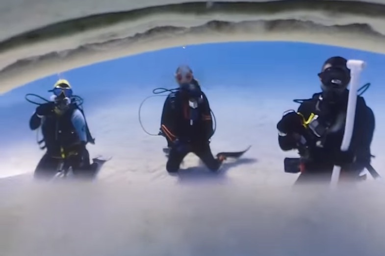 tiger shark eats camera