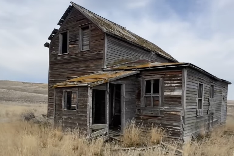 abandoned house coyote rescue