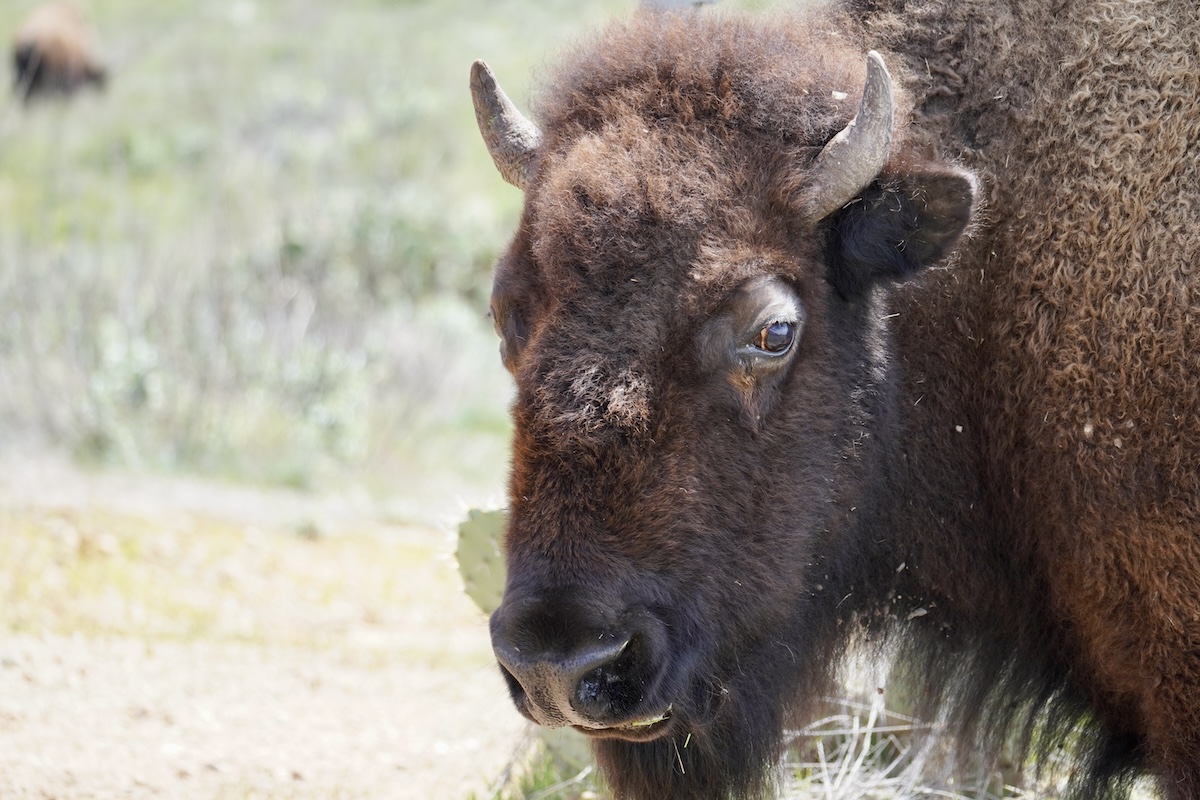 catalina island outdoor adventure1