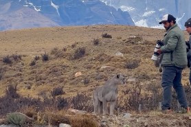 puma approaches group torres del paine