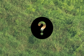 Upemba Lechwe first photo