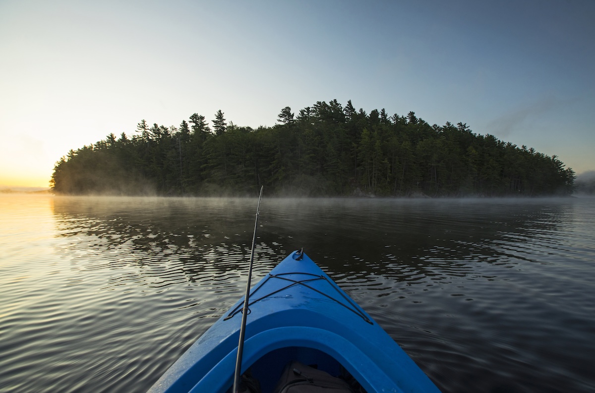 kayaker mystery fish