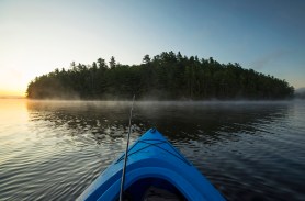 kayaker mystery fish