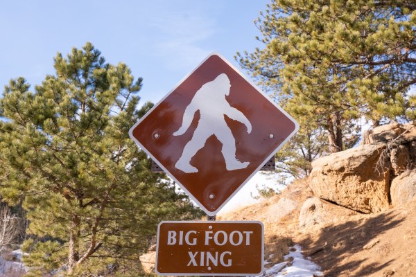 bigfoot sighting colorado