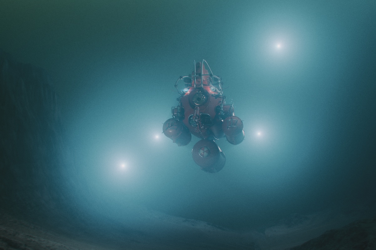 deep-sea squid rare first footage