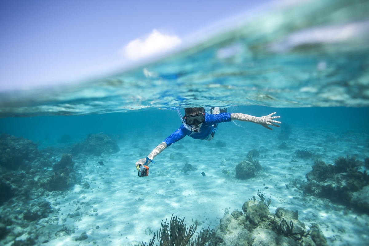 shark attack footage