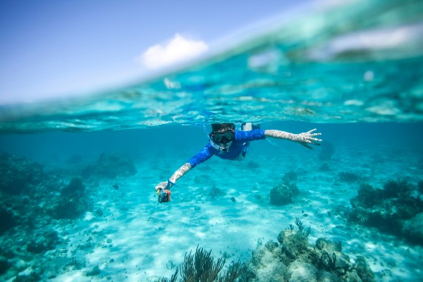 shark attack footage