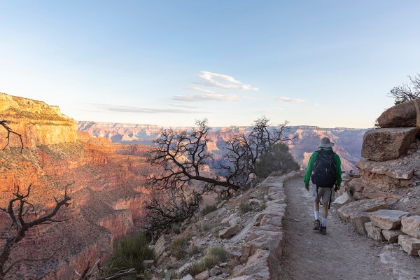 hiker fatality grand canyon