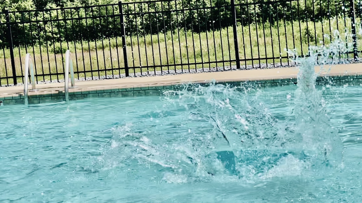 man rescues drowning animal marmot