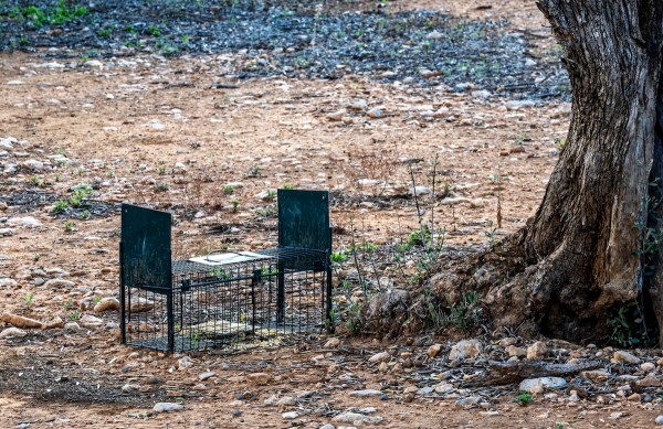 officer animal trap rescue