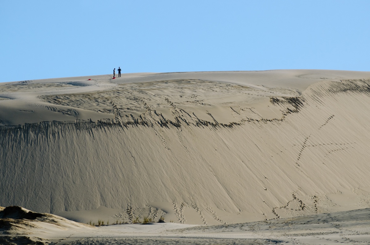 sand sledder collision stranger