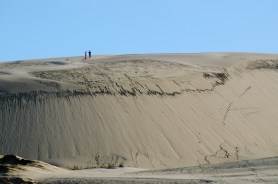 sand sledder collision stranger