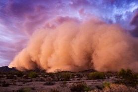 wall of dust phoenix