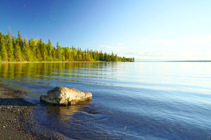 A large lake is surrounded by pine trees.