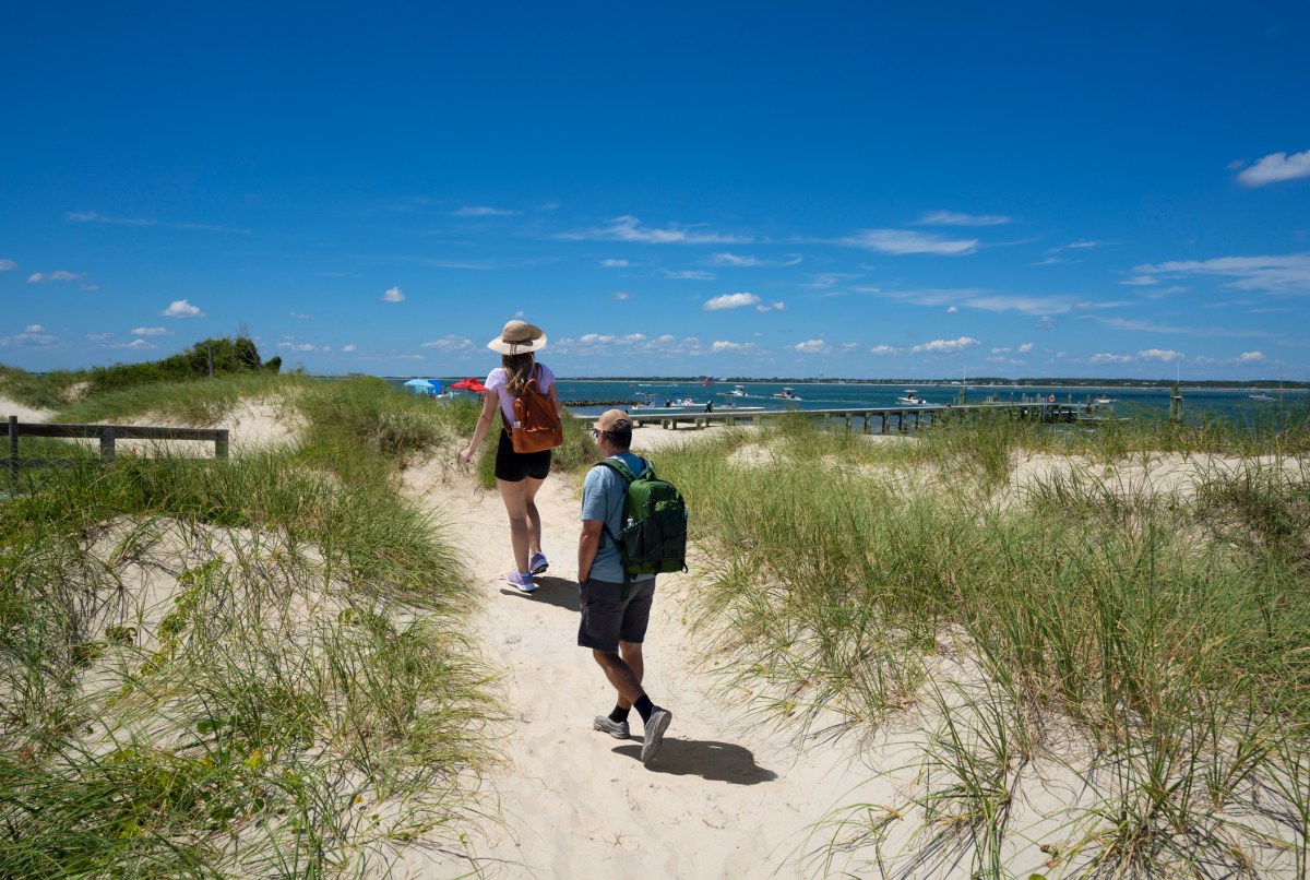People walking towards the beach between dunes