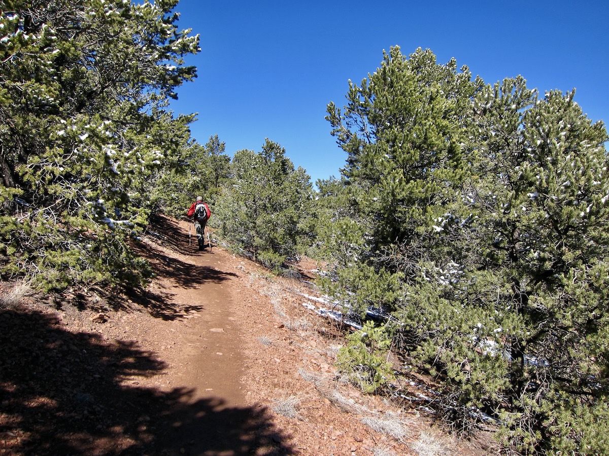 camper plague new mexico