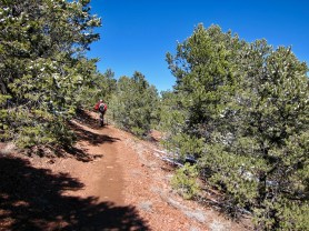 camper plague new mexico