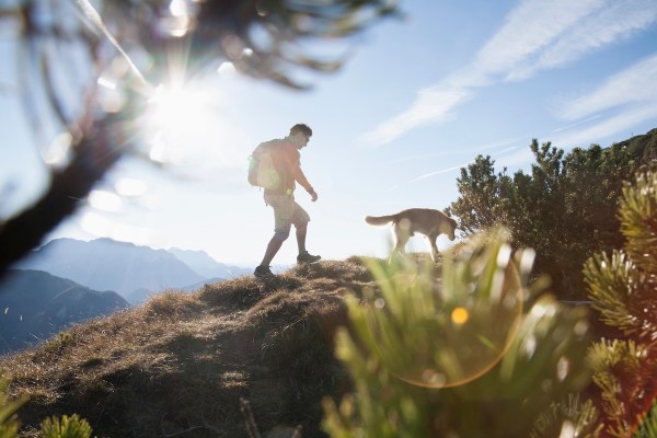 dogs rescue colorado 14er