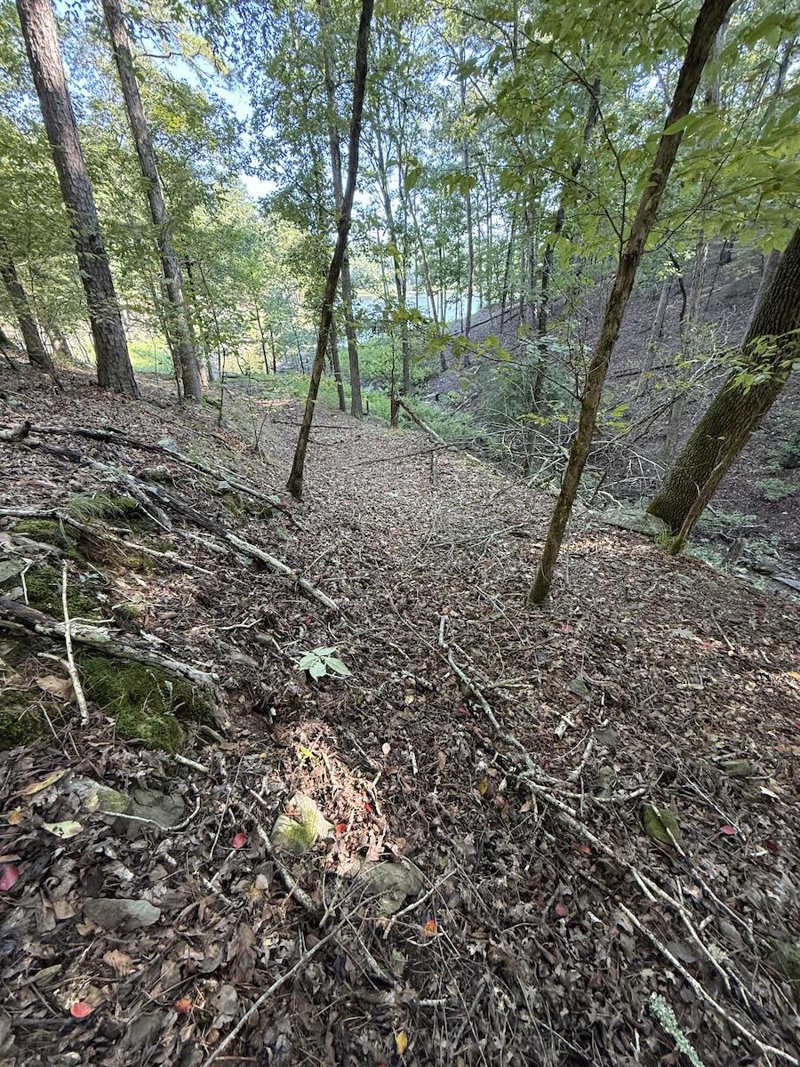 find the copperhead snake