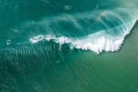 twin surfing shark attack