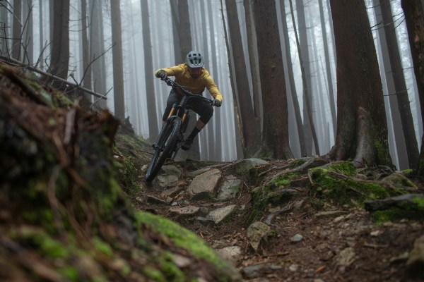 A mountain biker riding in the woods.