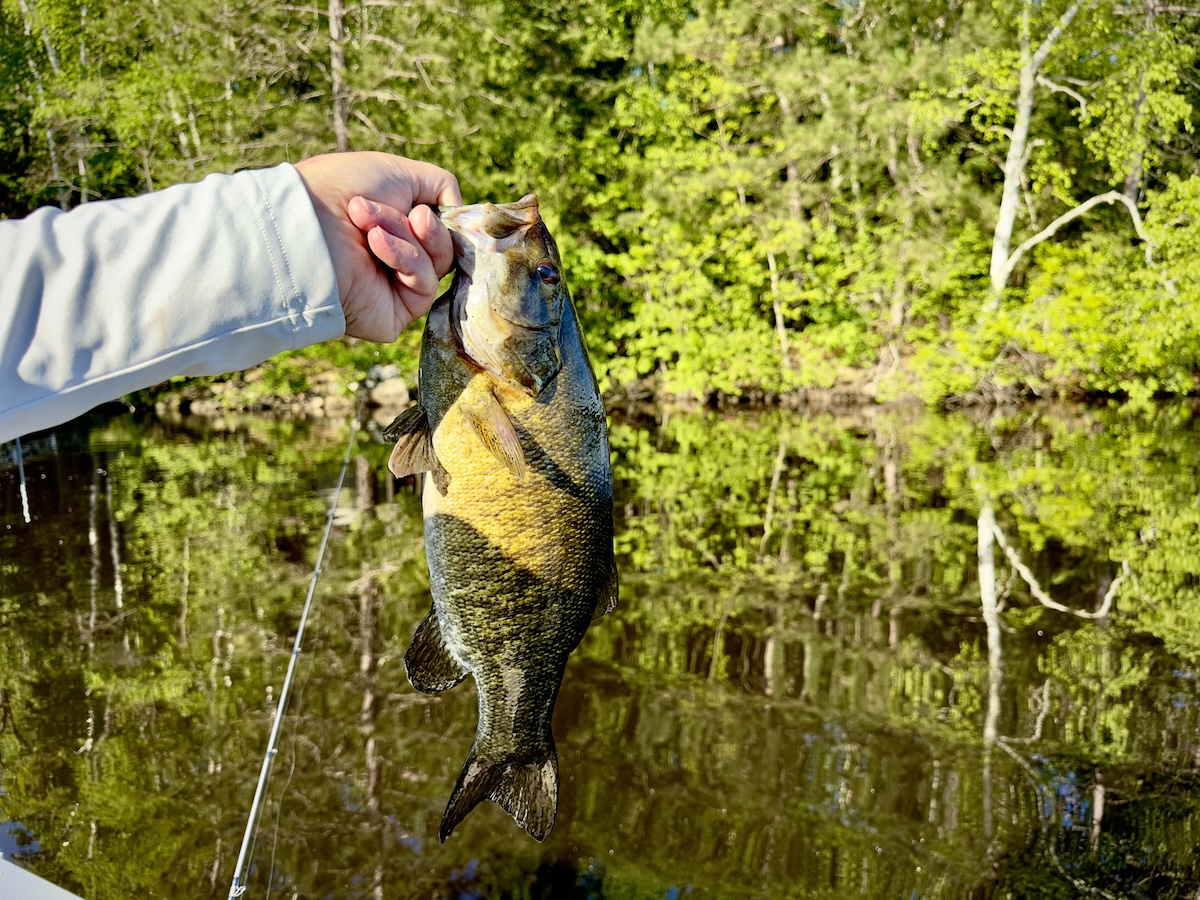 boy's reaction catches large fish