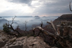 grand canyon fire infrastructure assessment