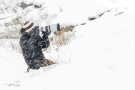 shot 50 million views