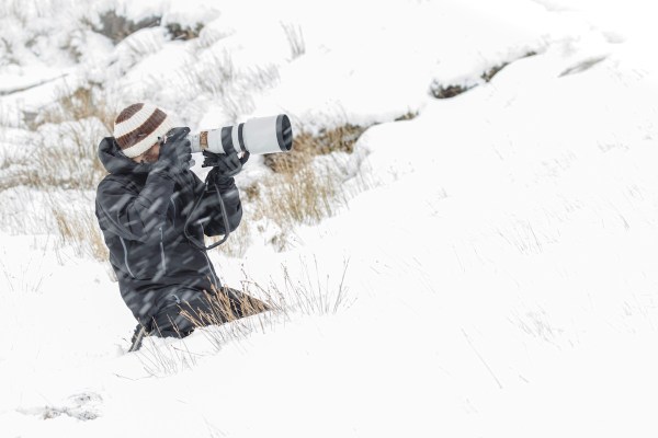 shot 50 million views