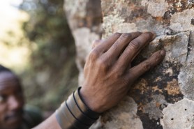 The hand of a person climbing