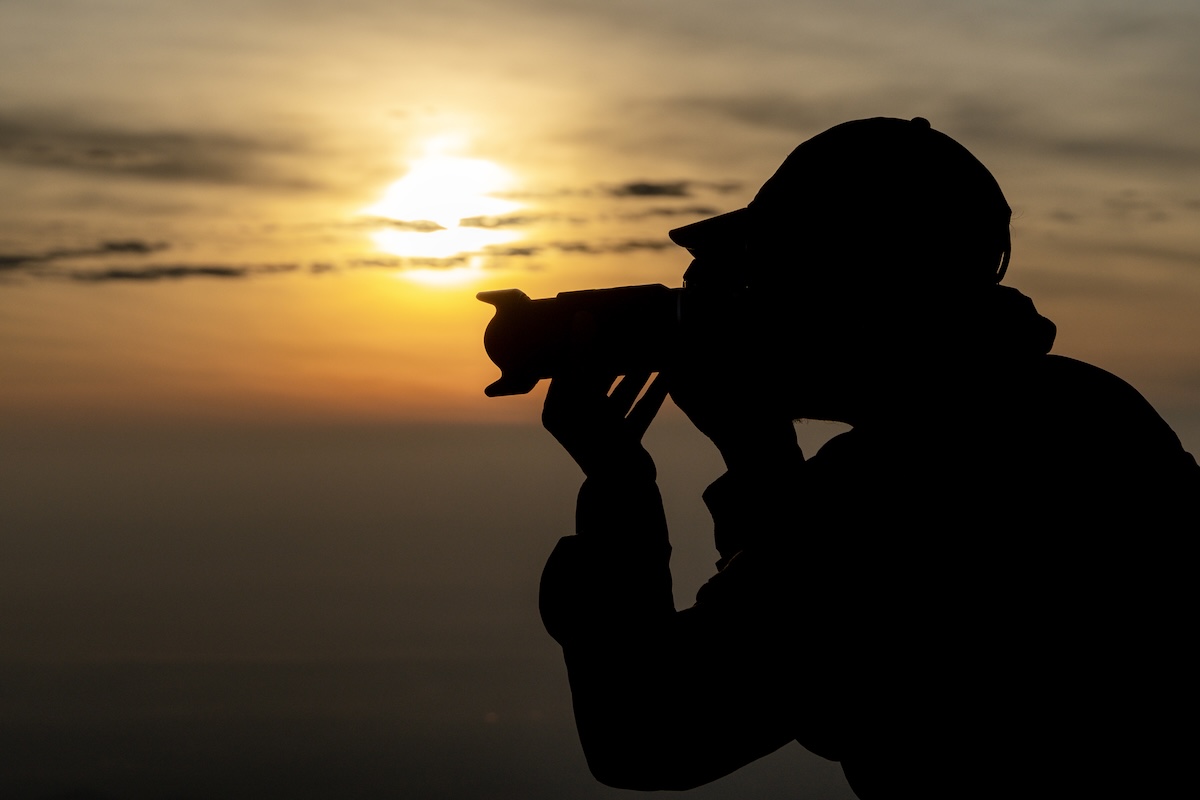 rare animal albino deer