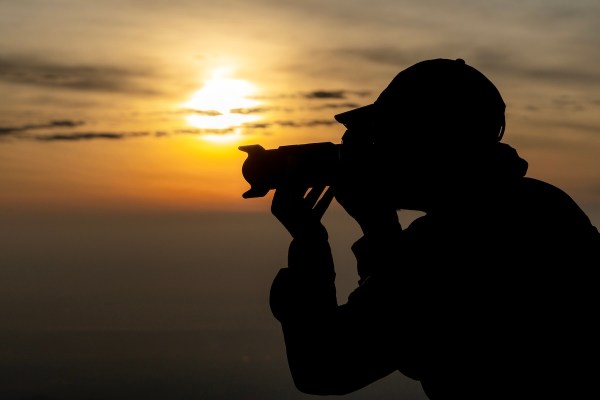 rare animal albino deer