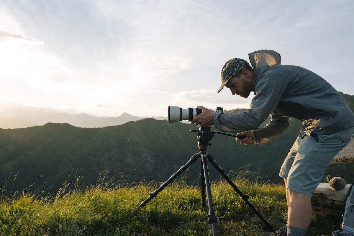 mountain lion views million