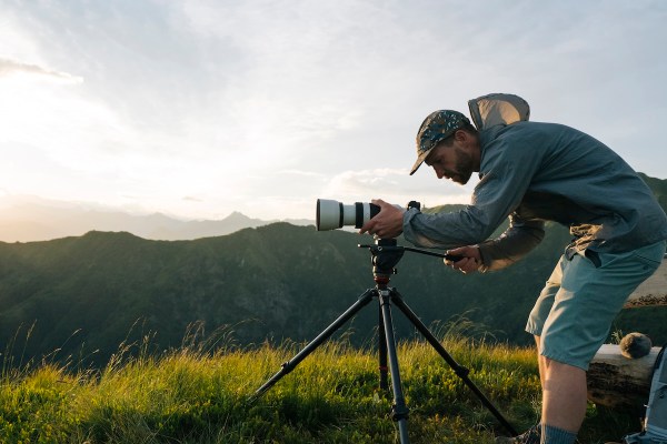 mountain lion views million