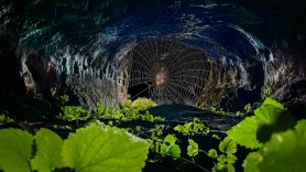 spider web cave