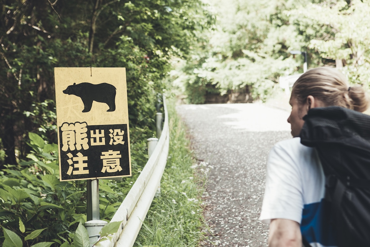 bear attacks japan