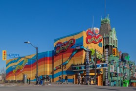 bear attraction roof