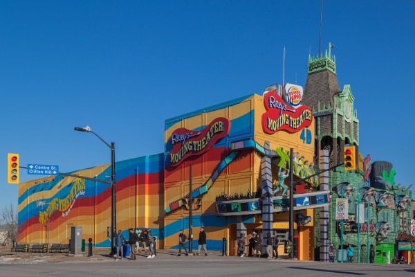 bear attraction roof