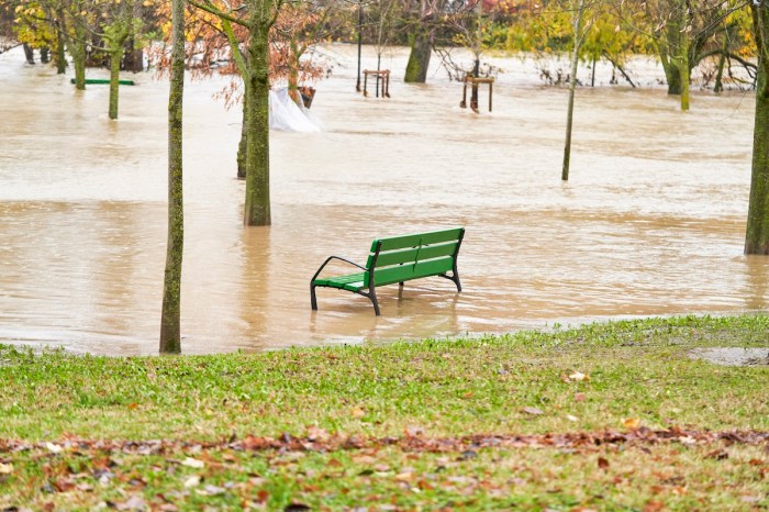 elk swim flooded field