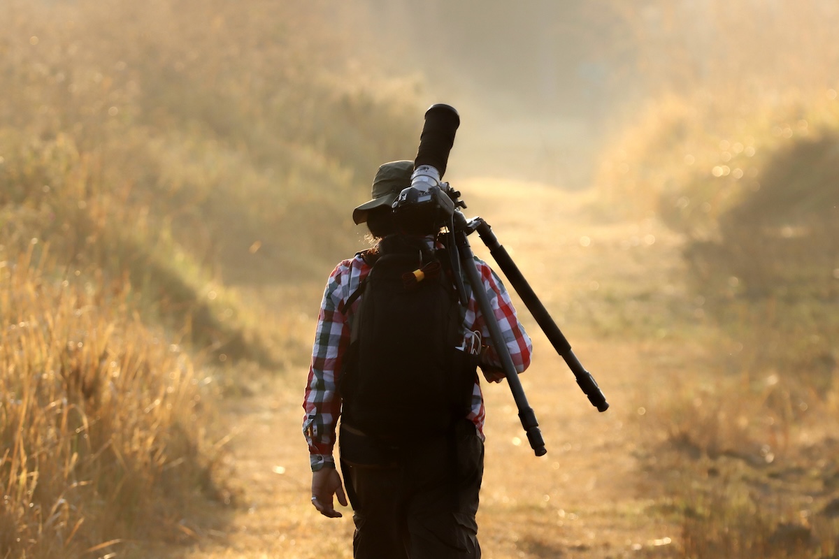 photographer camera trap